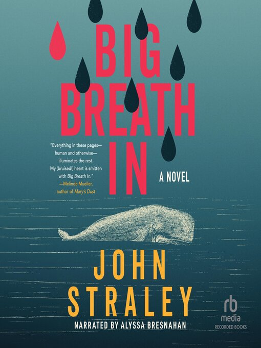 Title details for Big Breath In by John Straley - Available